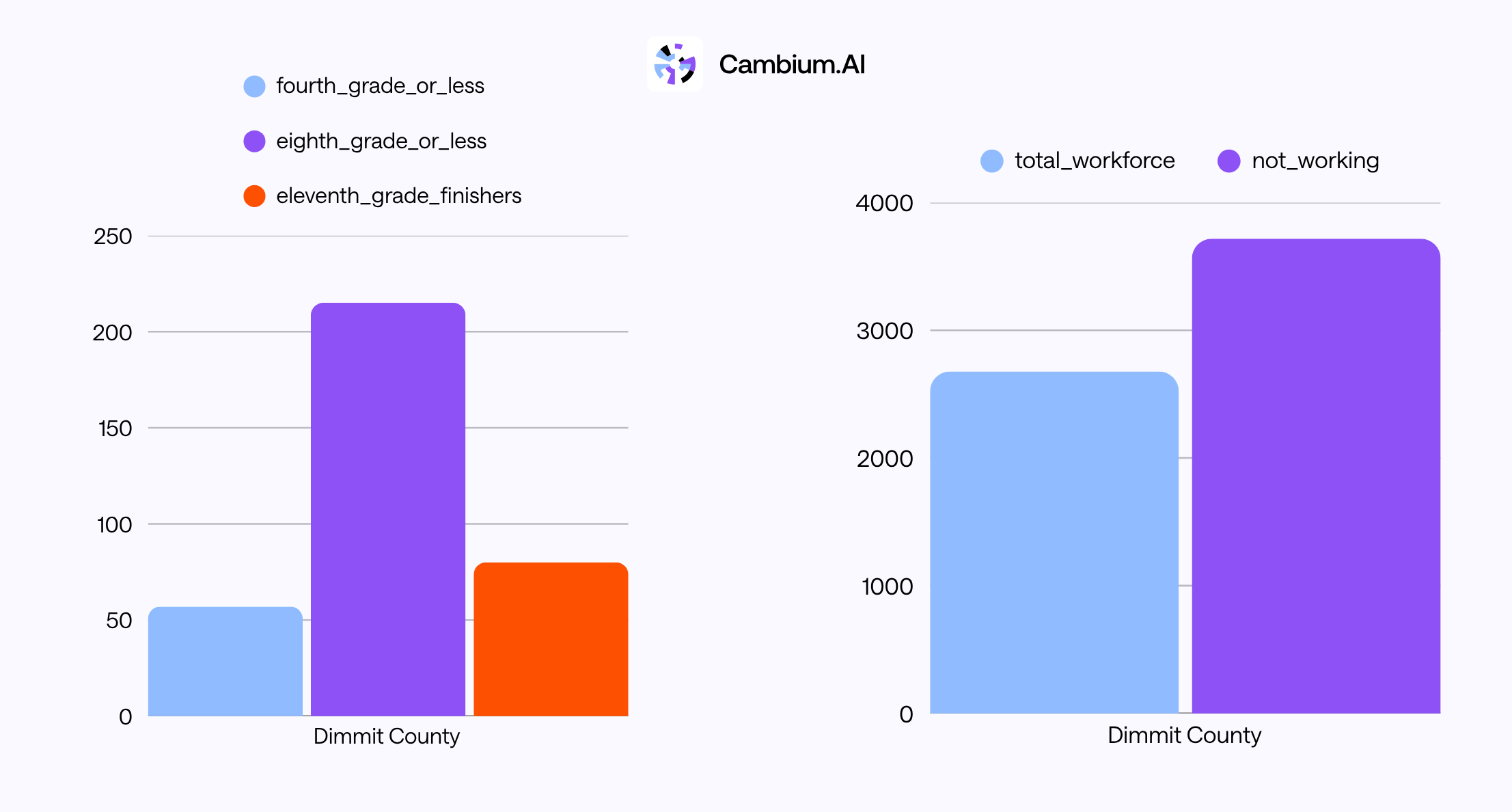 Chart of Data for education and workforce in Dimmit County
