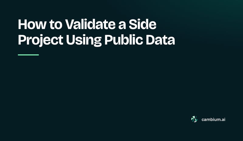 How to Validate a Side Project Using Public Data