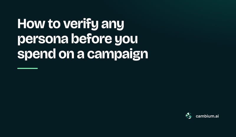 How to verify any persona before you spend on a campaign