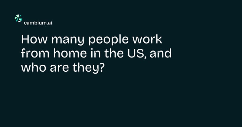 How many people work from home in the US, and who are they?